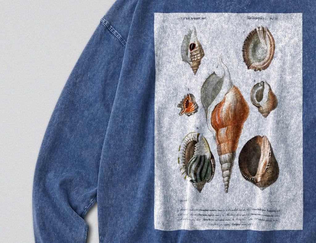 Oversized Snow Washed Long Sleeve Cotton Tee - Seashells & Molluscs Print