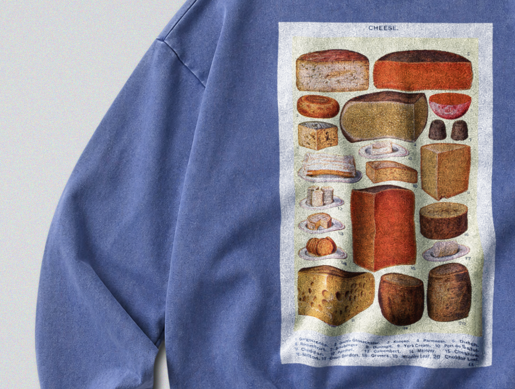 Oversized Snow Washed Cotton Sweatshirt - Collection of Cheese's Print