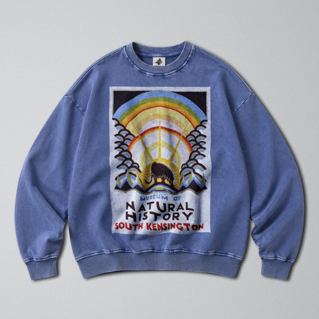 Oversized Snow Washed Cotton Sweatshirt - Museum of Natural History Print