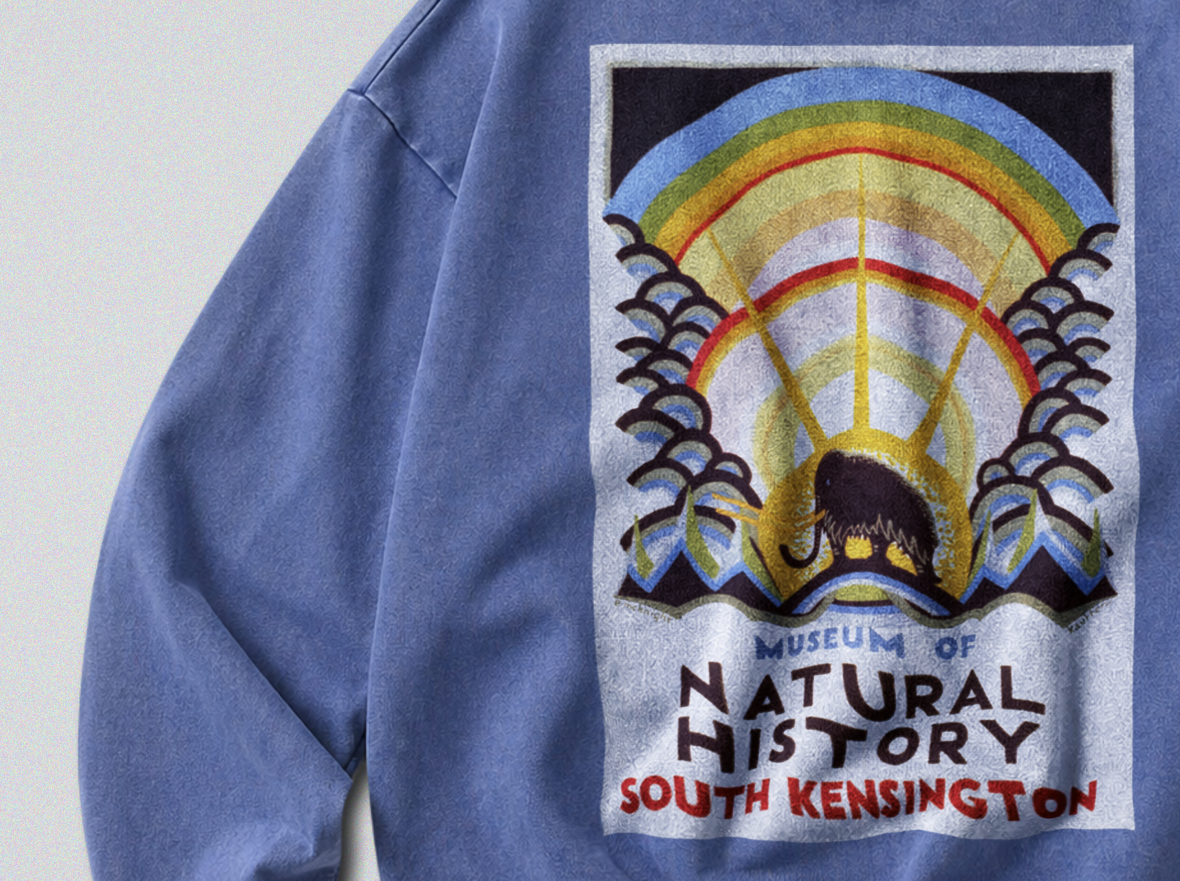 Oversized Snow Washed Cotton Sweatshirt - Museum of Natural History Print