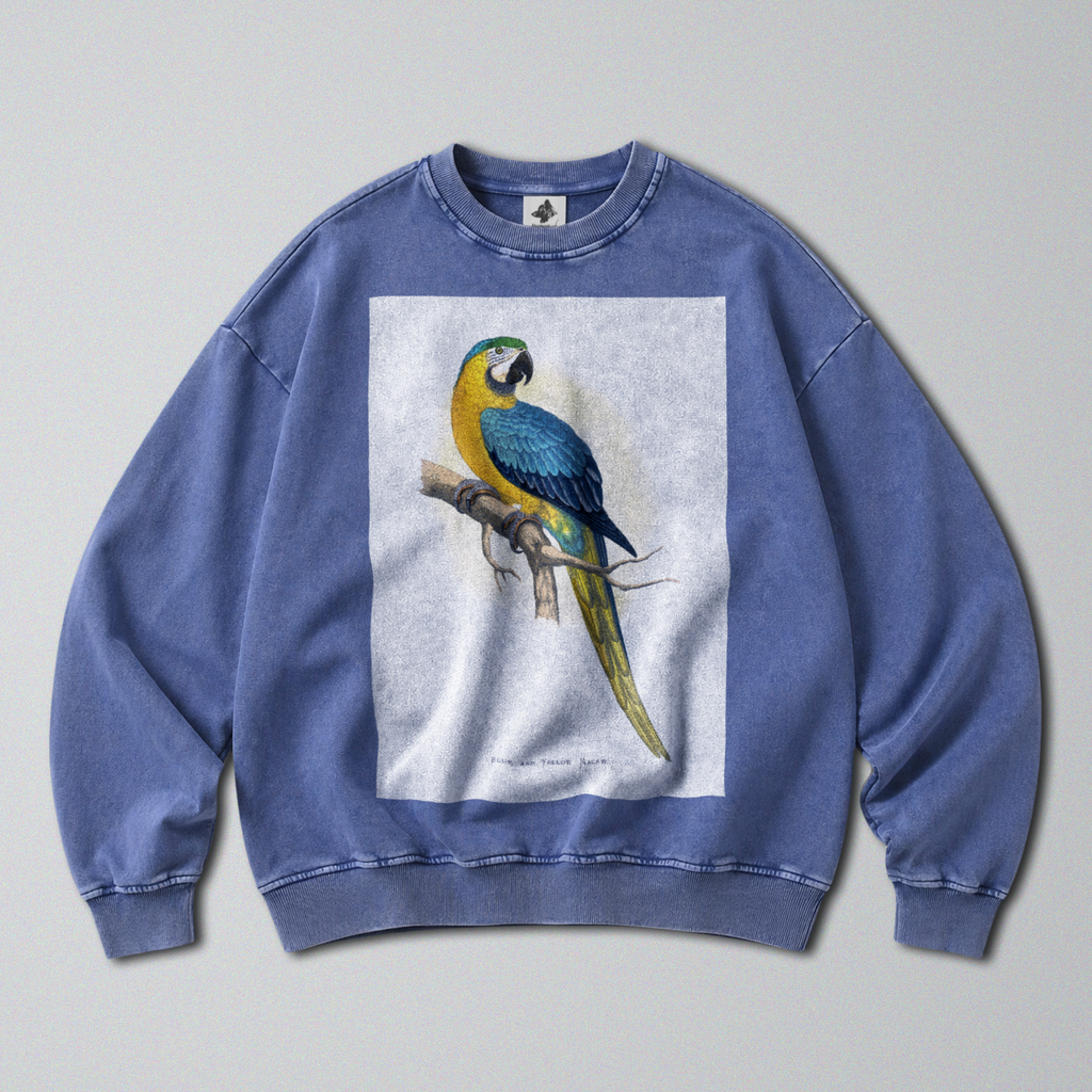 Oversized Snow Washed Cotton Sweatshirt - Yellow & Blue Parrot