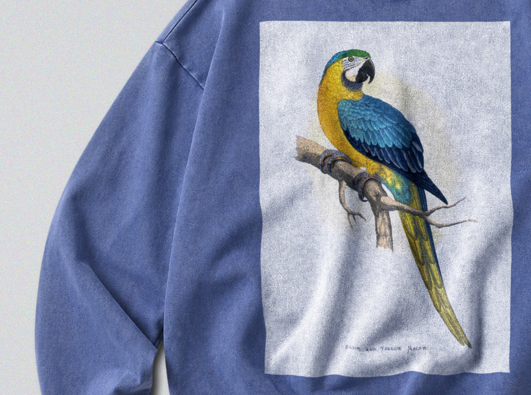 Oversized Snow Washed Cotton Sweatshirt - Yellow & Blue Parrot