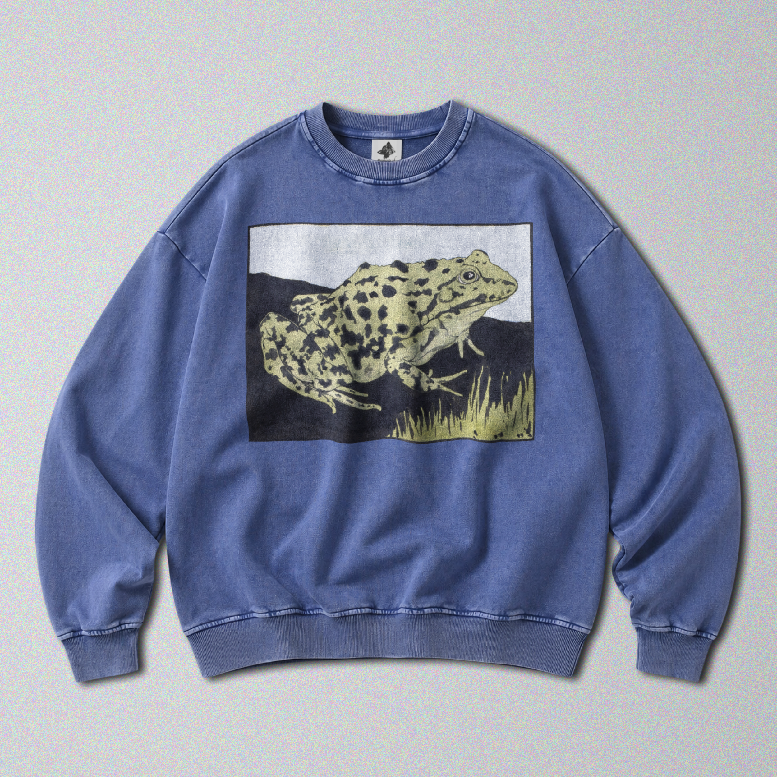 Oversized Snow Washed Cotton Sweatshirt - Spotted Bullfrog Print