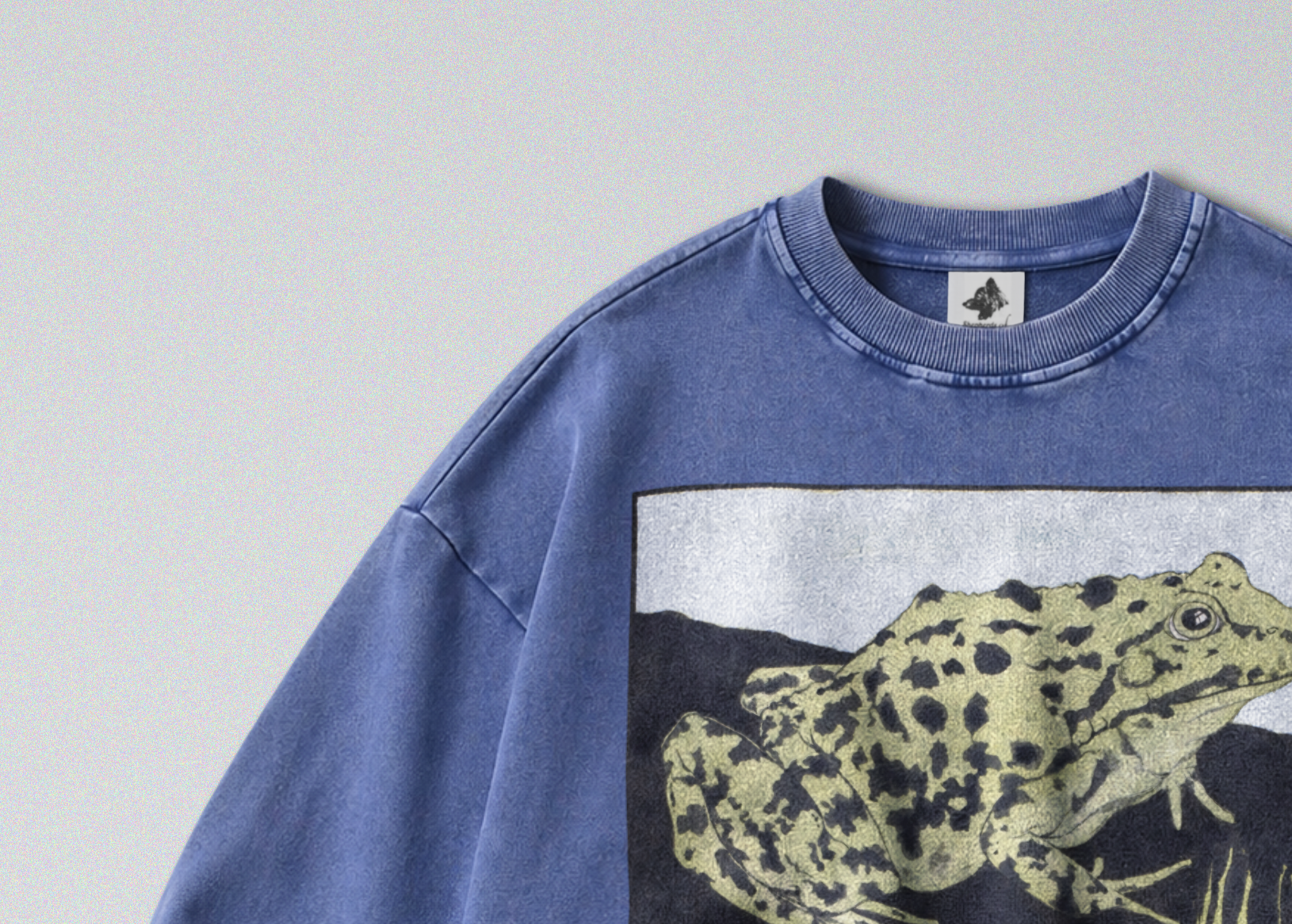 Oversized Snow Washed Cotton Sweatshirt - Spotted Bullfrog Print