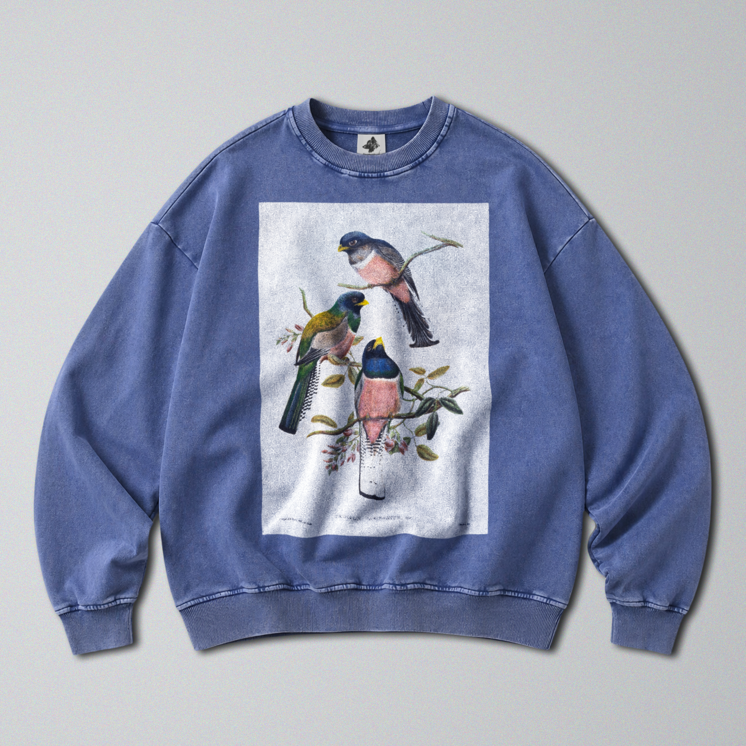 Oversized Snow Washed Cotton Sweatshirt - Colorful Perching Birds Print