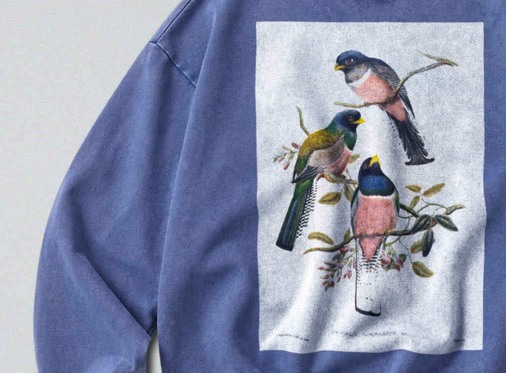 Oversized Snow Washed Cotton Sweatshirt - Colorful Perching Birds Print