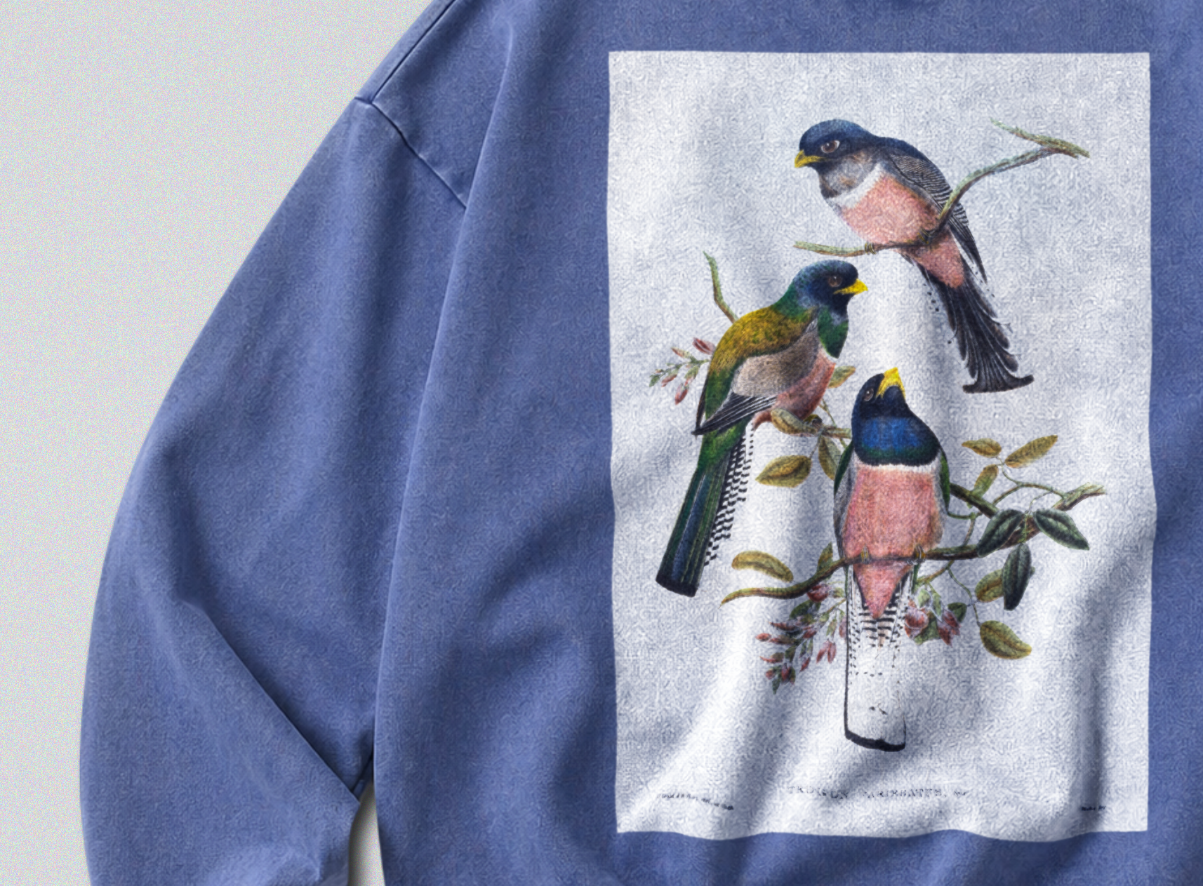 Oversized Snow Washed Cotton Sweatshirt - Colorful Perching Birds Print
