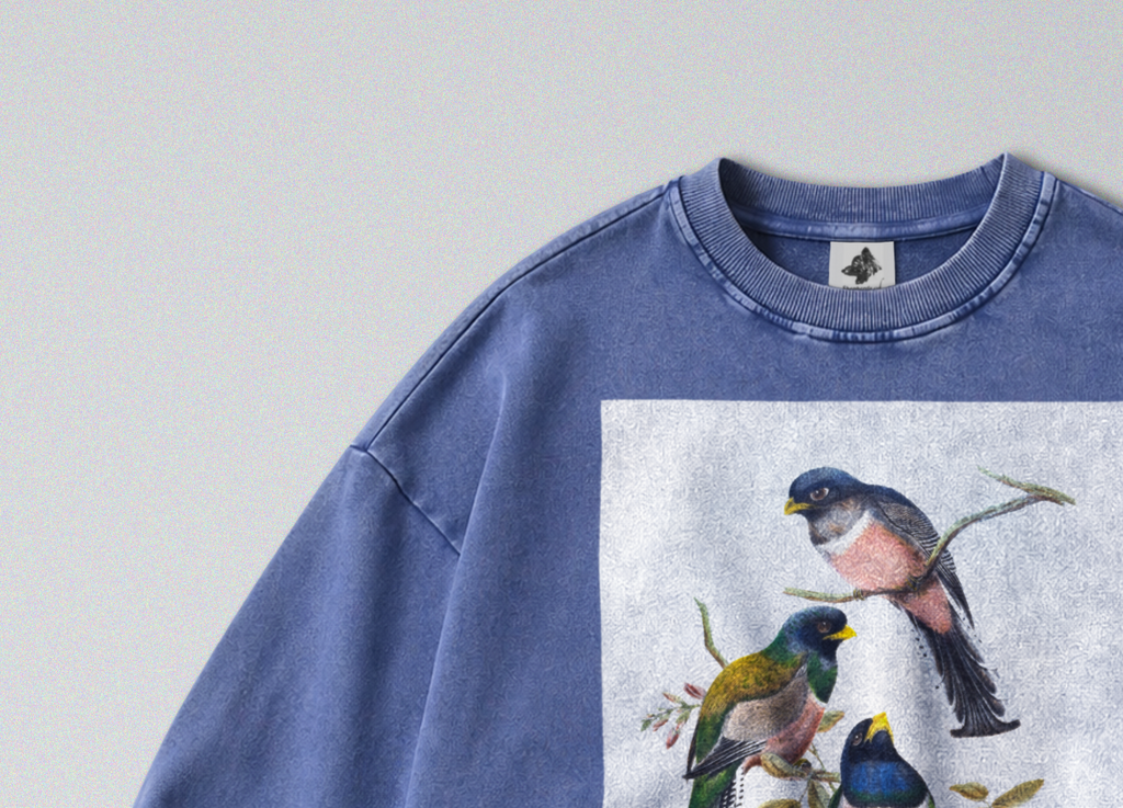 Oversized Snow Washed Cotton Sweatshirt - Colorful Perching Birds Print