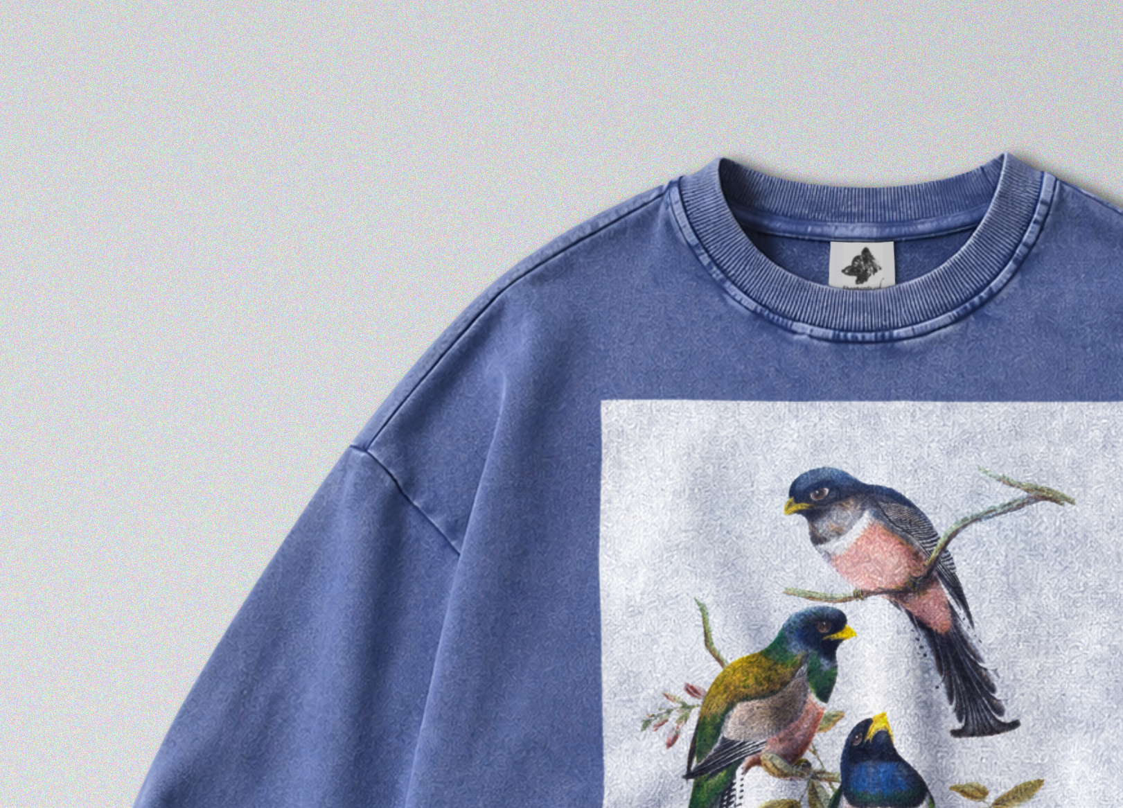 Oversized Snow Washed Cotton Sweatshirt - Colorful Perching Birds Print