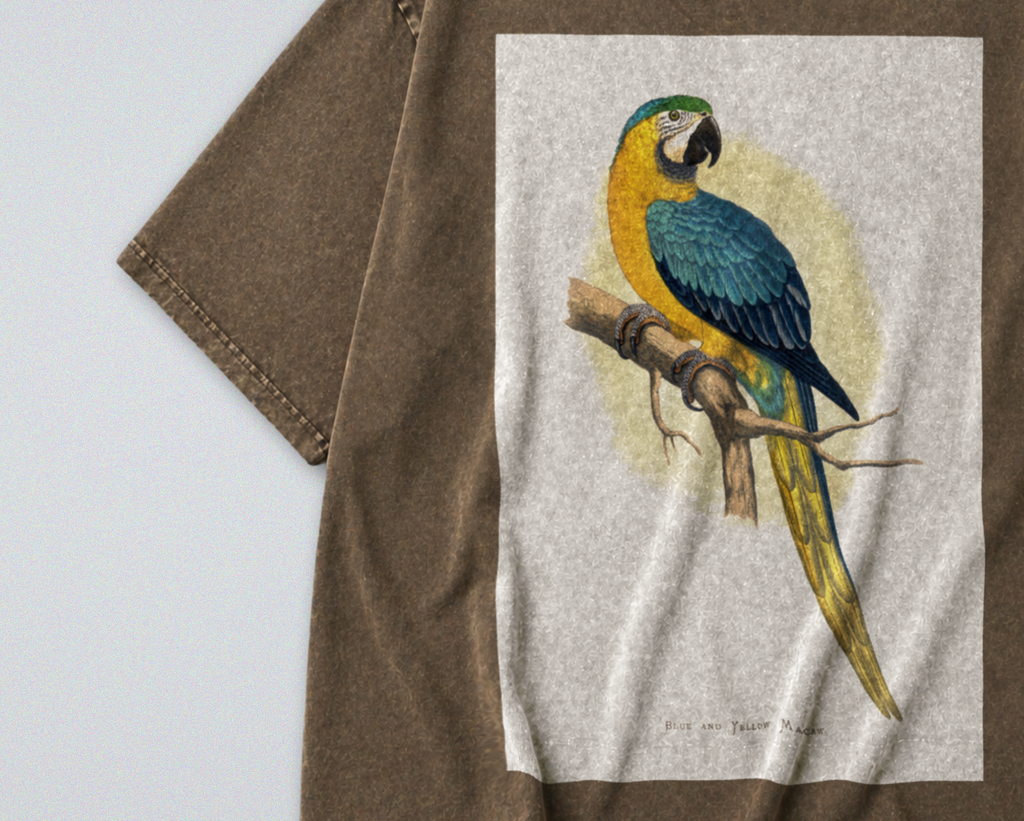 Blue & Yellow Parrot - Short Sleeve Tee