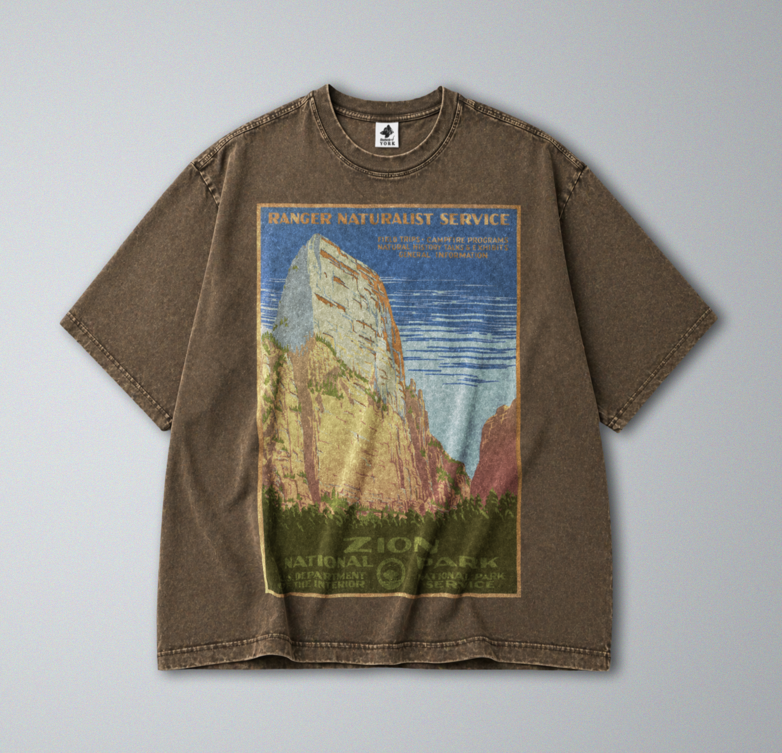 Oversized Snow Washed Cotton Tee - Zion National Park Print