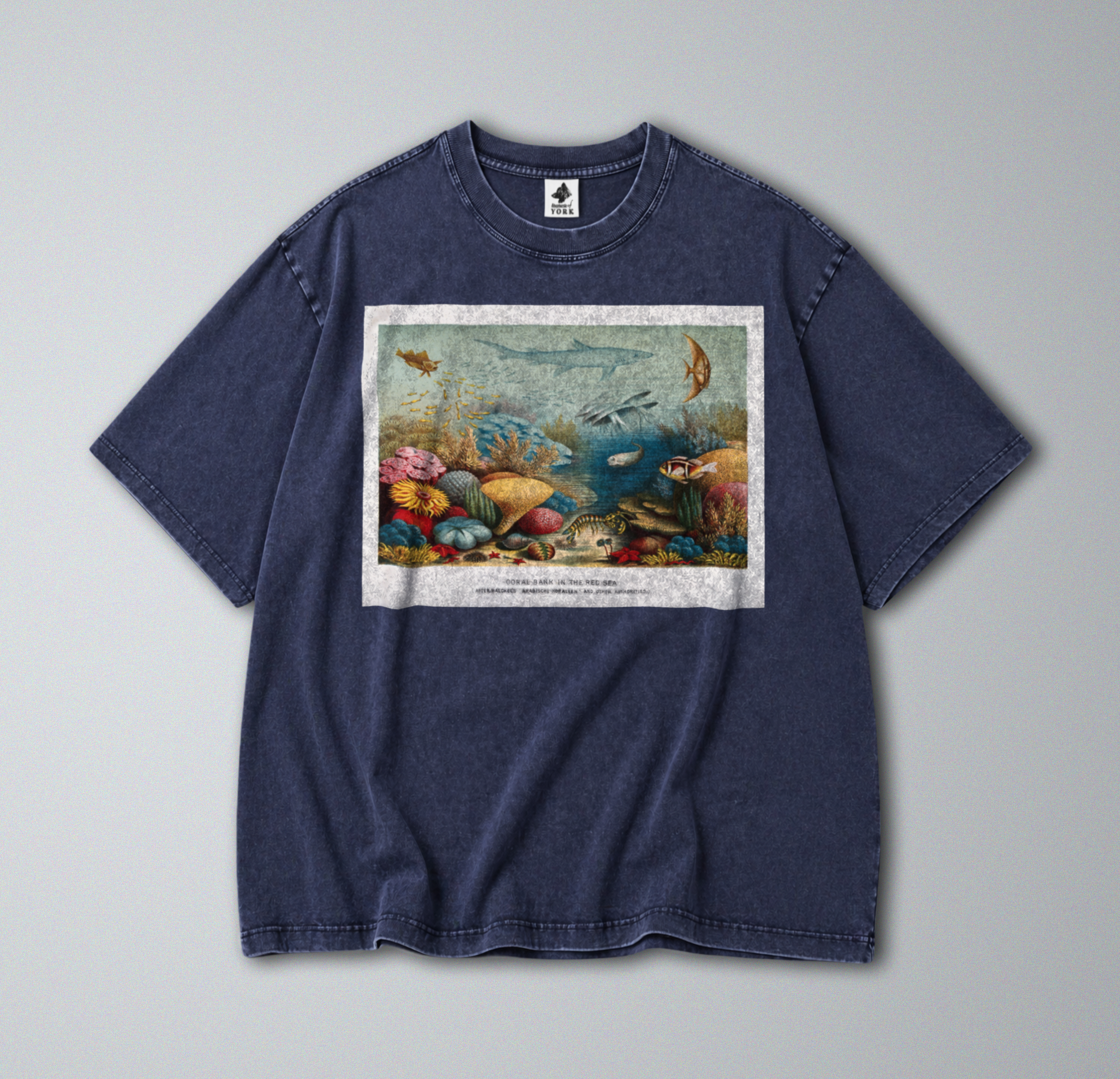 Oversized Snow Washed Cotton Tee - Sea Animals & Coral Reef Print