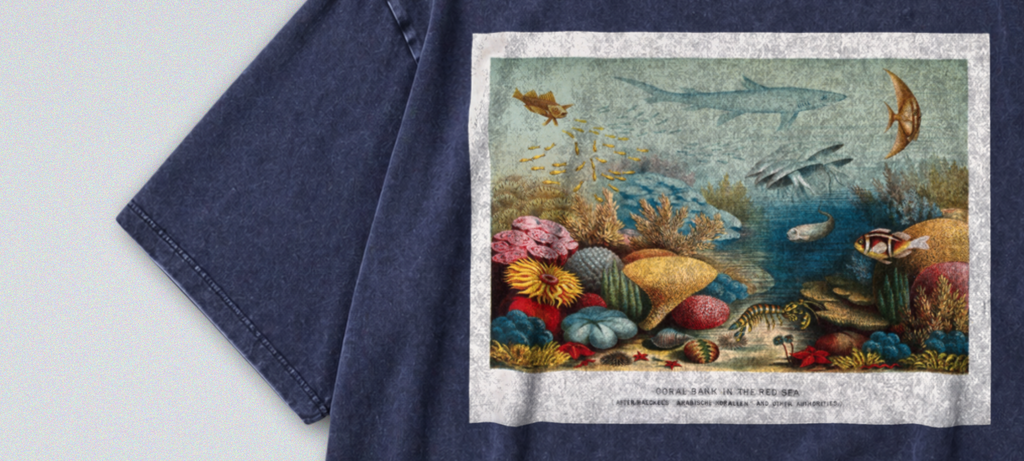 Sea Animals & Coral Reef - Short Sleeve Tee