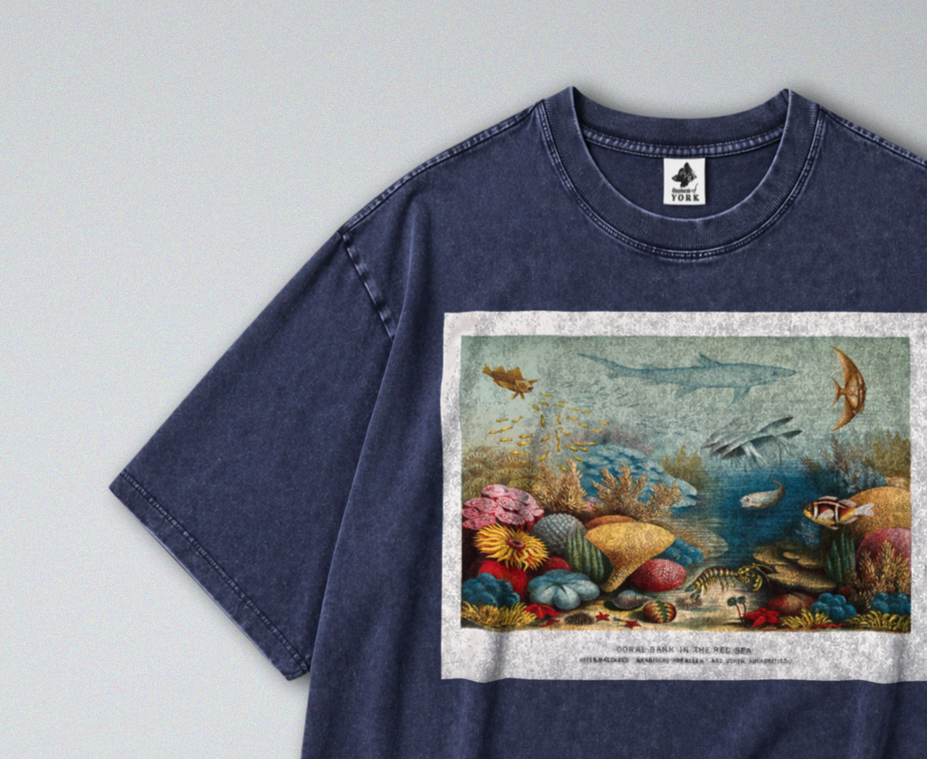 Sea Animals & Coral Reef - Short Sleeve Tee