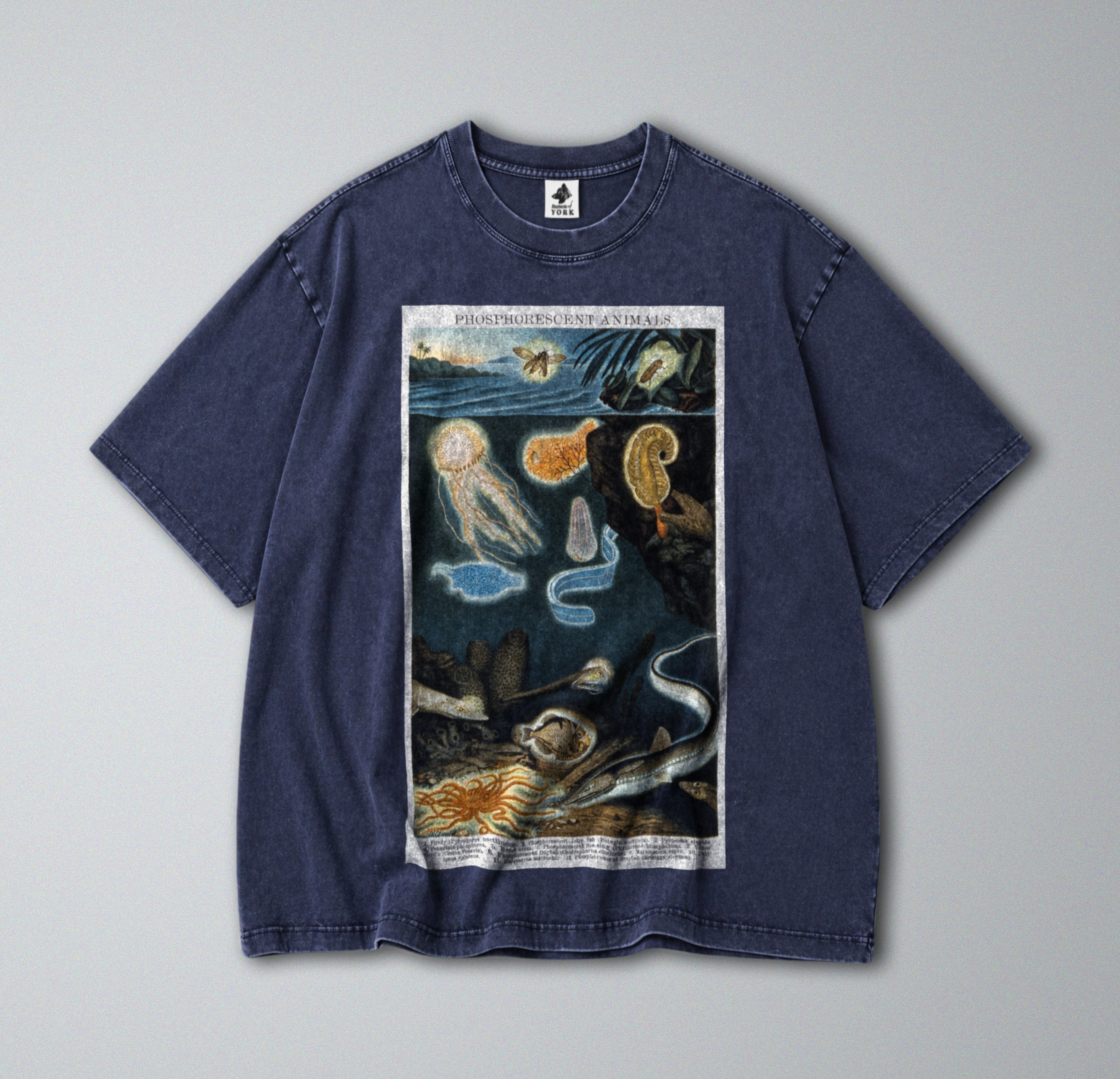 Oversized Snow Washed Cotton Tee - Phosphorescent sea Animals Print