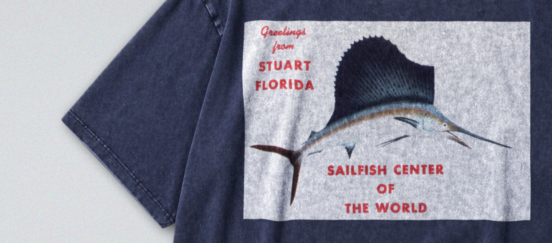 Oversized Snow Washed Cotton Tee - Florida Sailfish Postcard Print