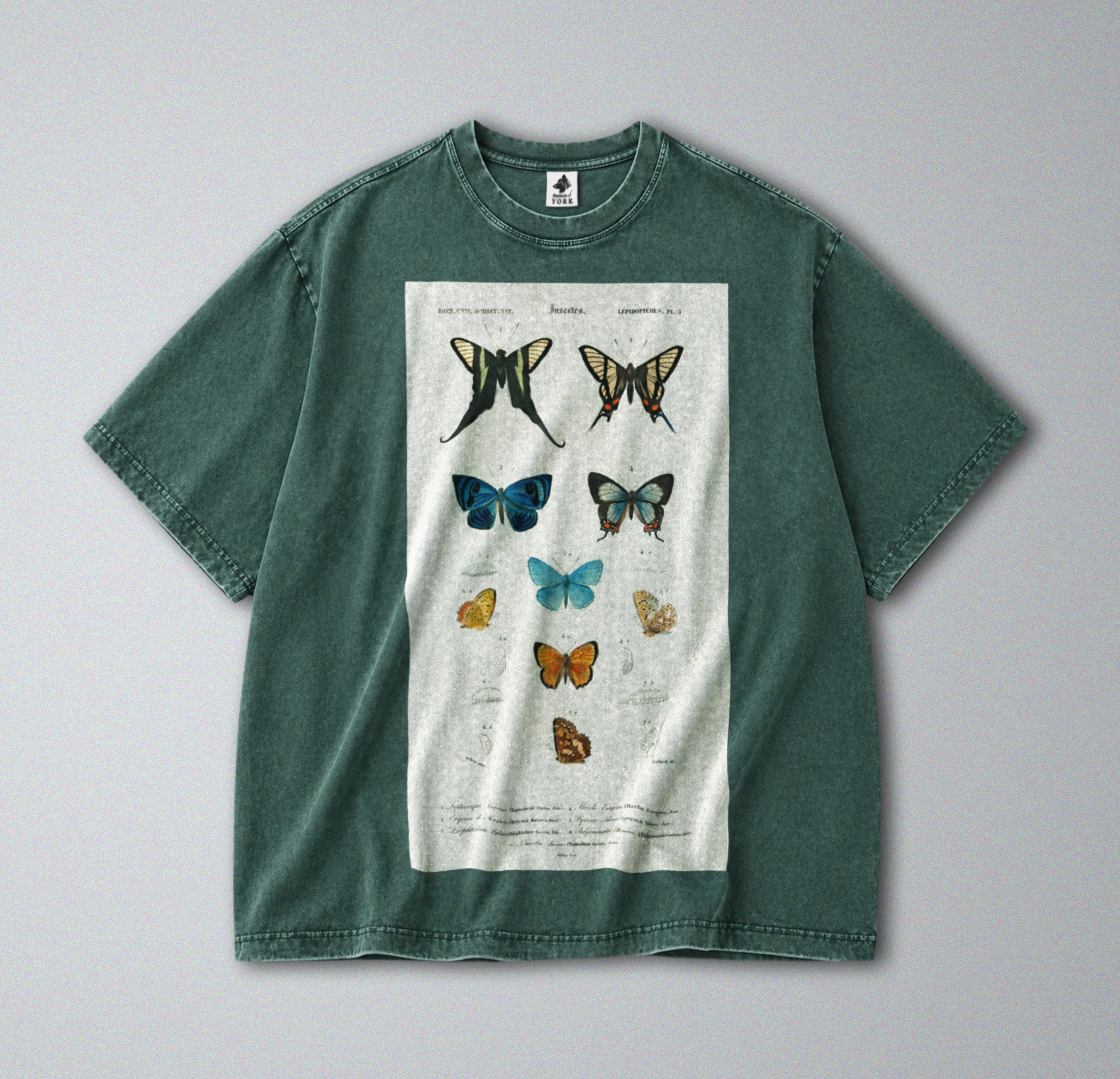 Oversized Snow Washed Cotton Tee - Vibrant Butterflies Print