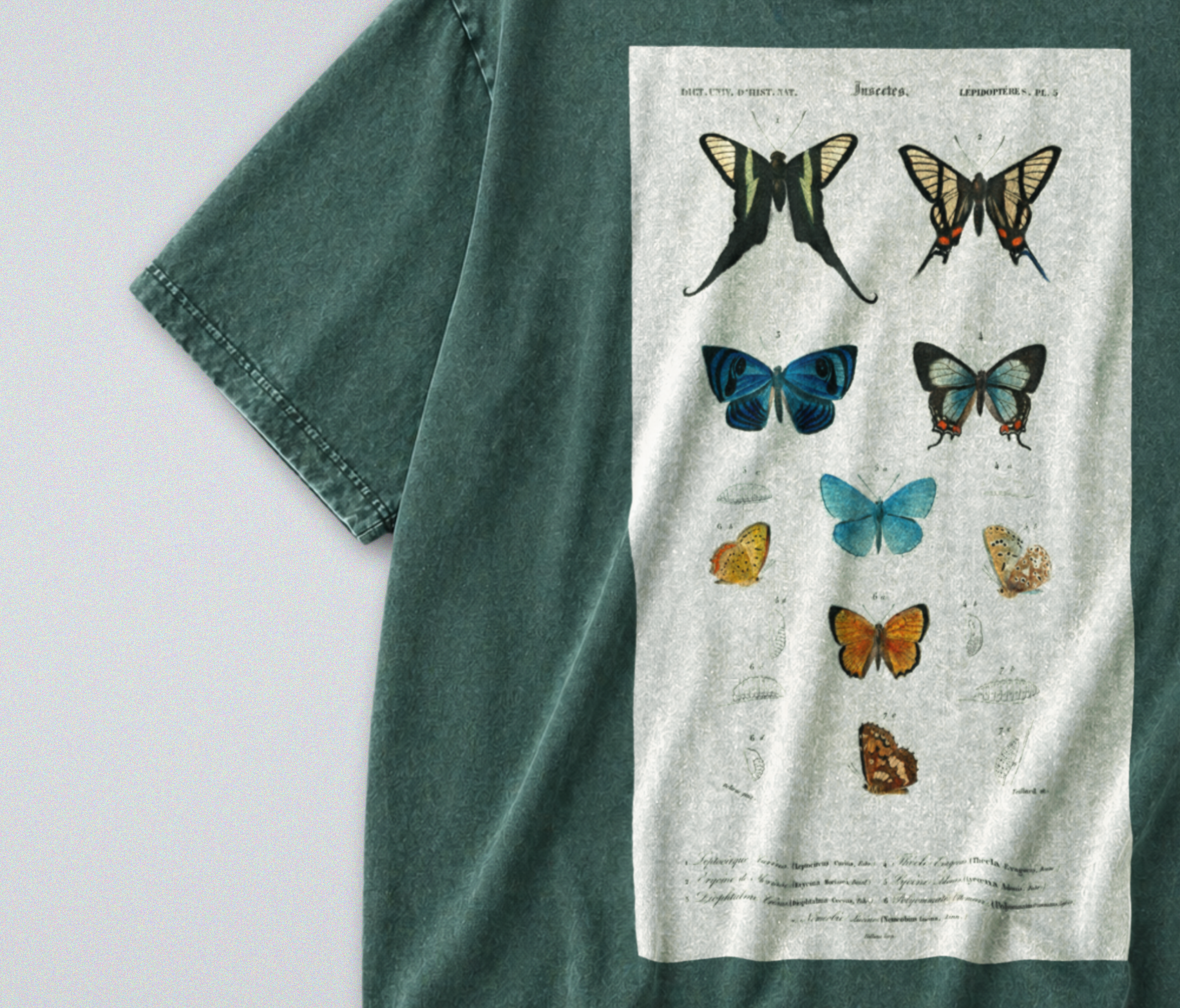 Oversized Snow Washed Cotton Tee - Vibrant Butterflies Print