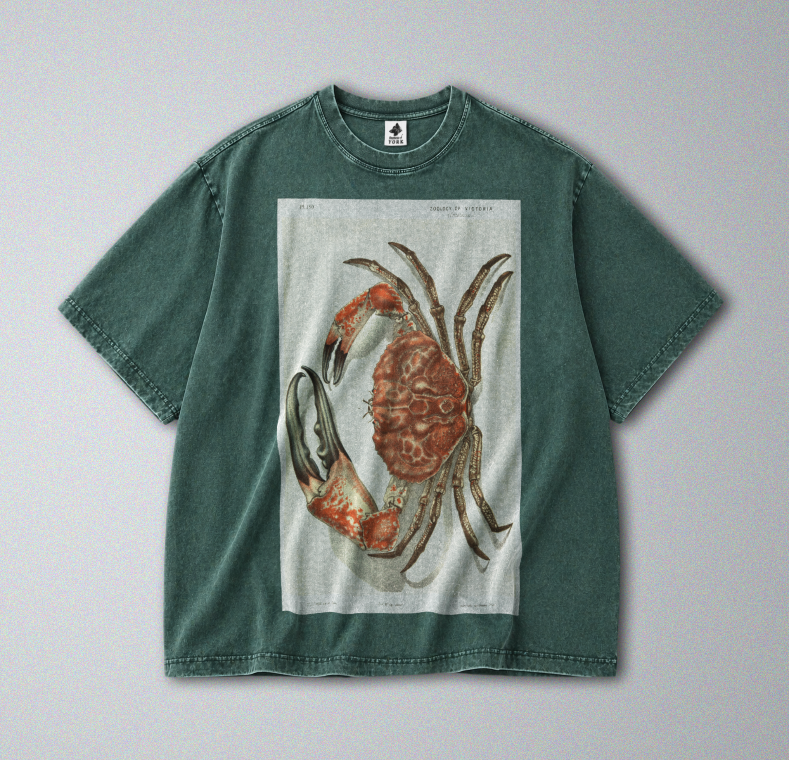 Oversized Snow Washed Cotton Tee - Red Tasmanian Giant Crab Print