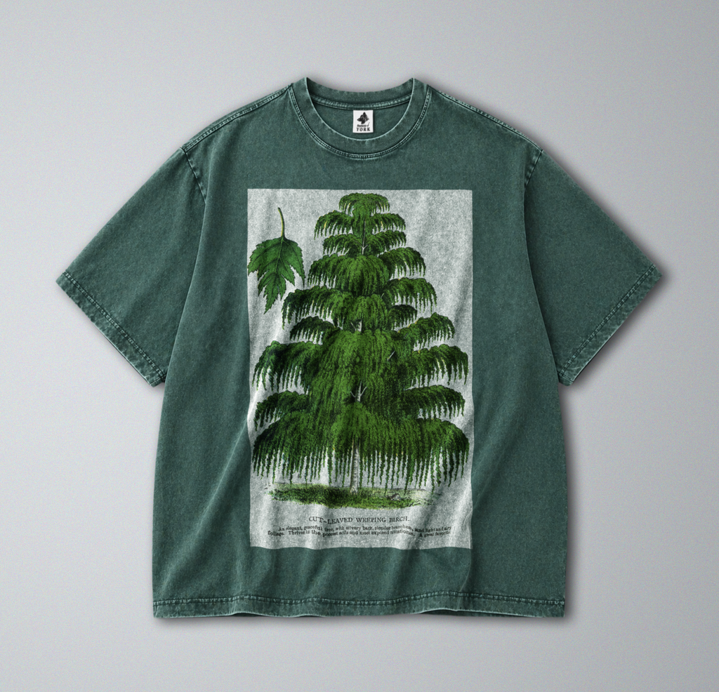 Weeping Birch Tree - Short Sleeve Tee