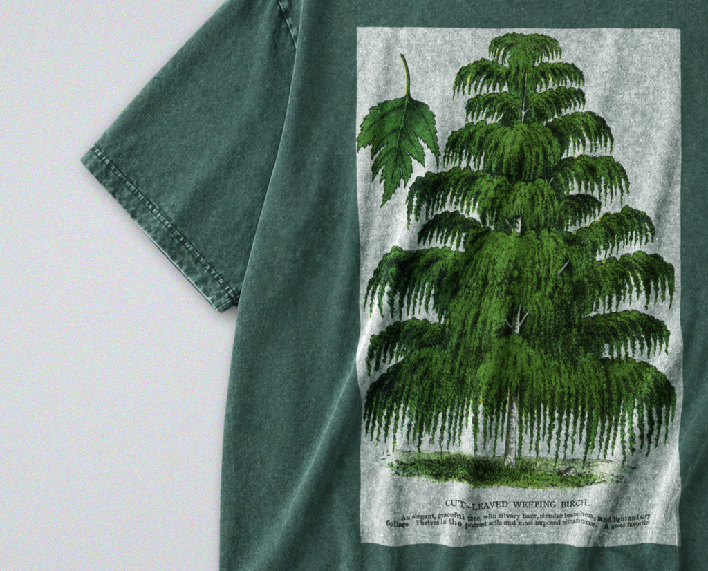 Weeping Birch Tree - Short Sleeve Tee