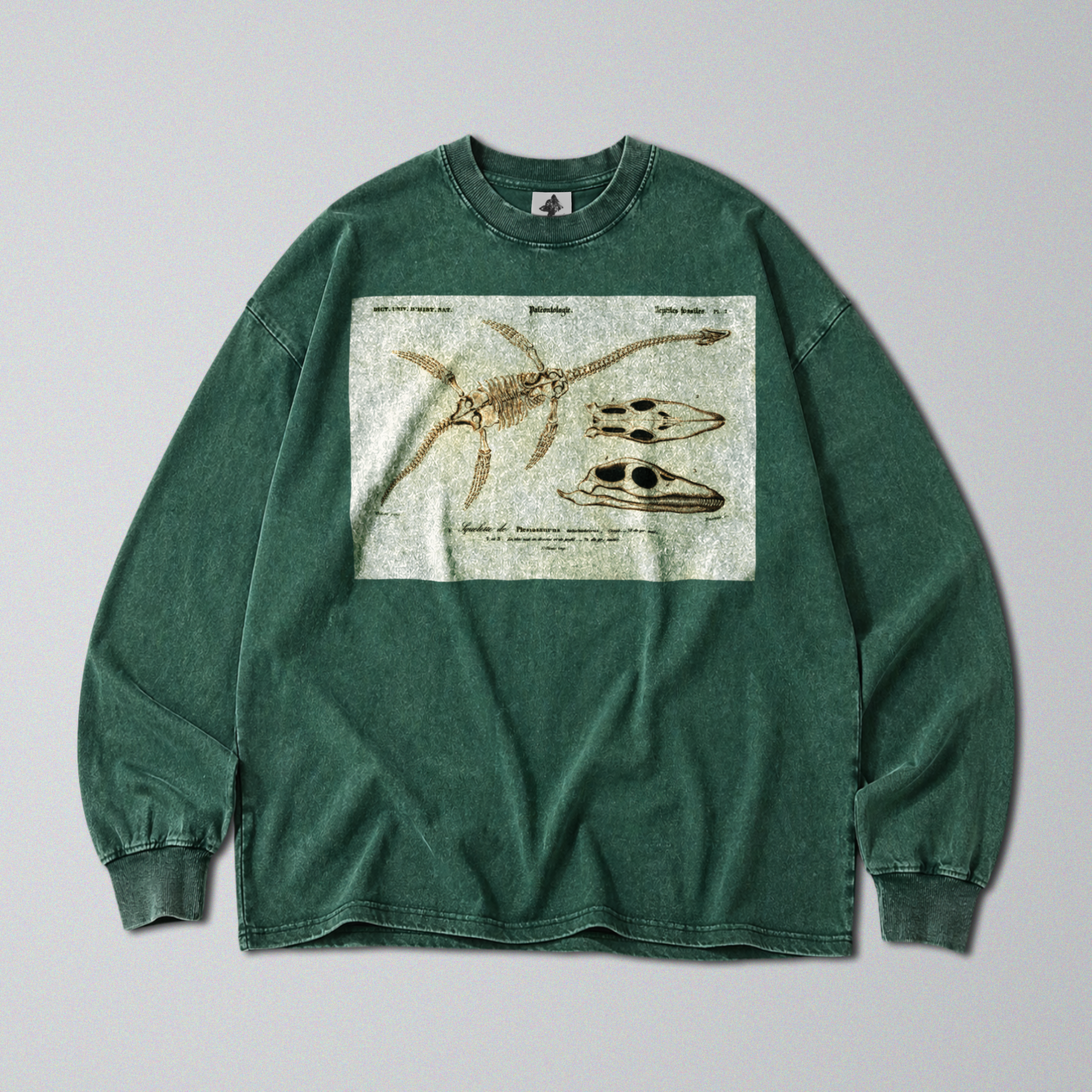 Oversized Snow Washed Long Sleeve Cotton Tee - Plesiosaur Skeleton Fossil Print