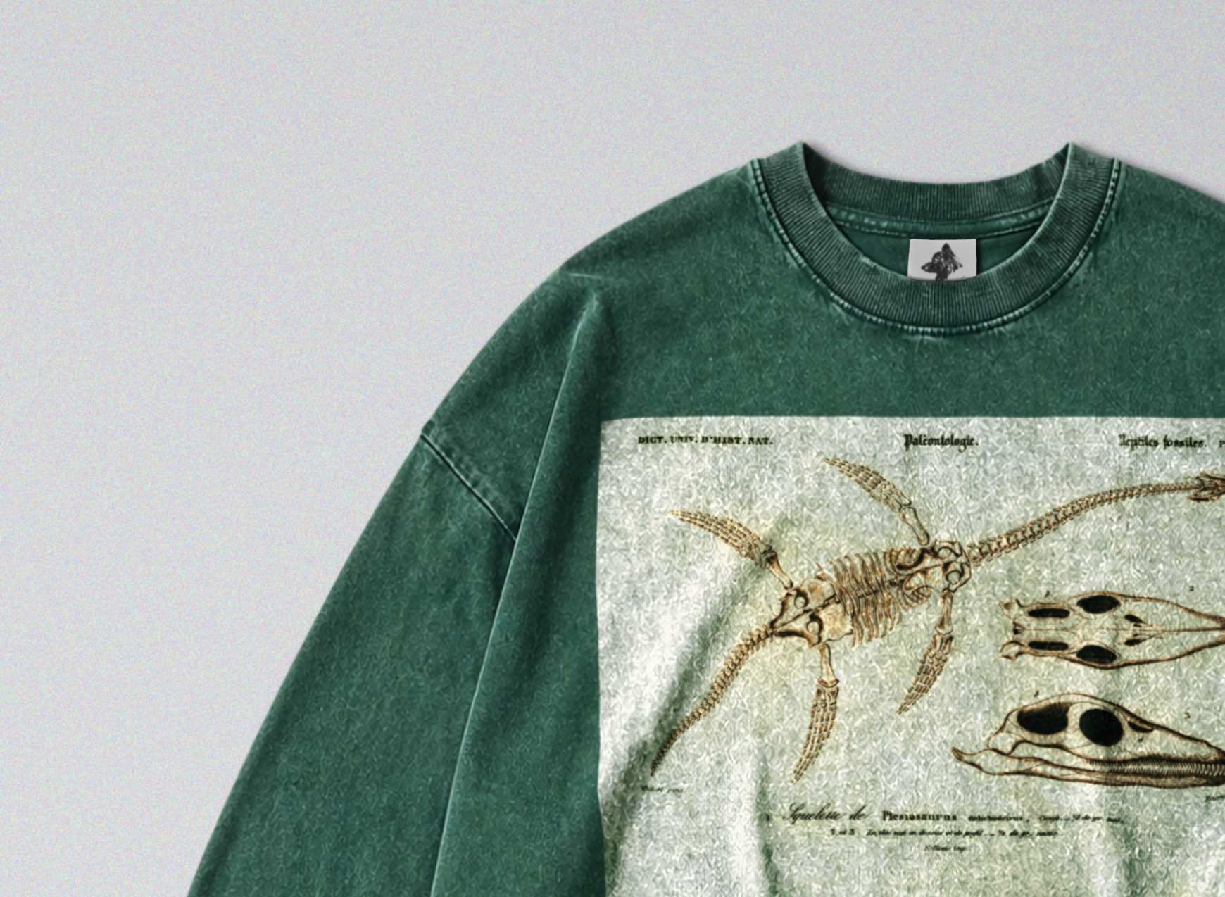 Oversized Snow Washed Long Sleeve Cotton Tee - Plesiosaur Skeleton Fossil Print