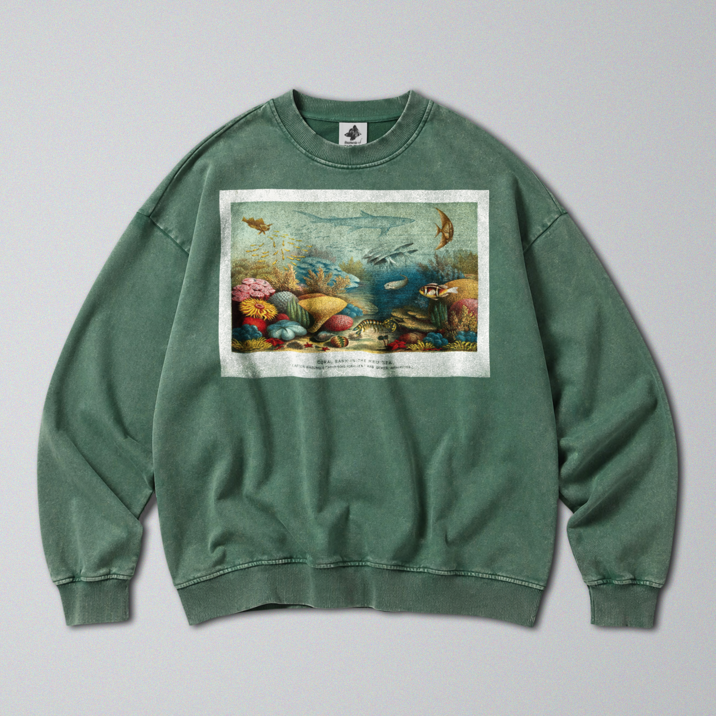 Oversized Snow Washed Cotton Sweatshirt - Colorful Coral Reef Print