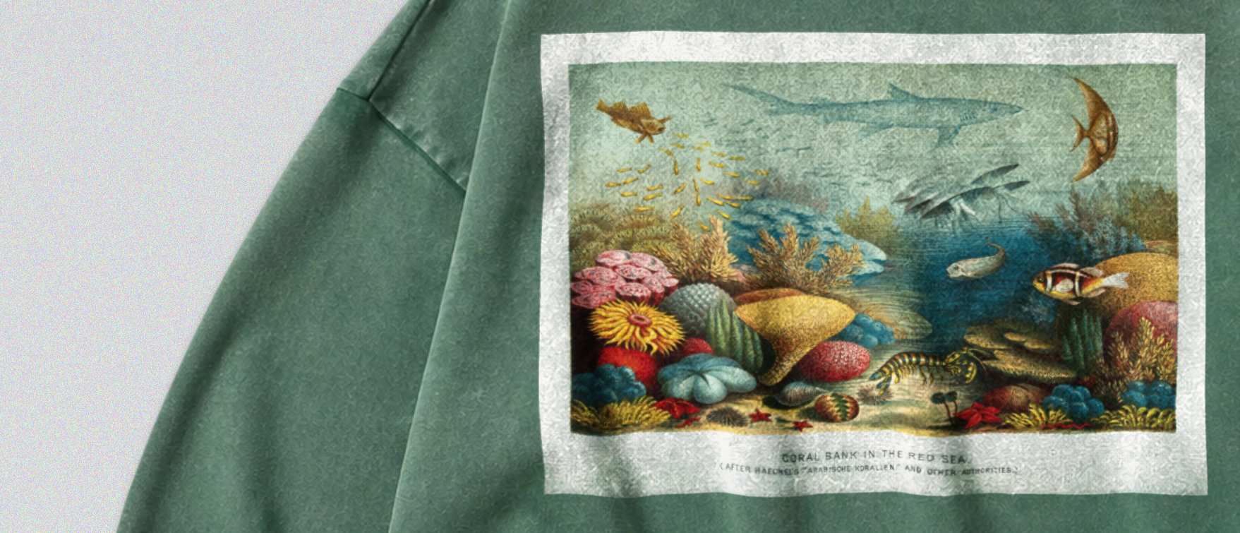 Oversized Snow Washed Cotton Sweatshirt - Colorful Coral Reef Print