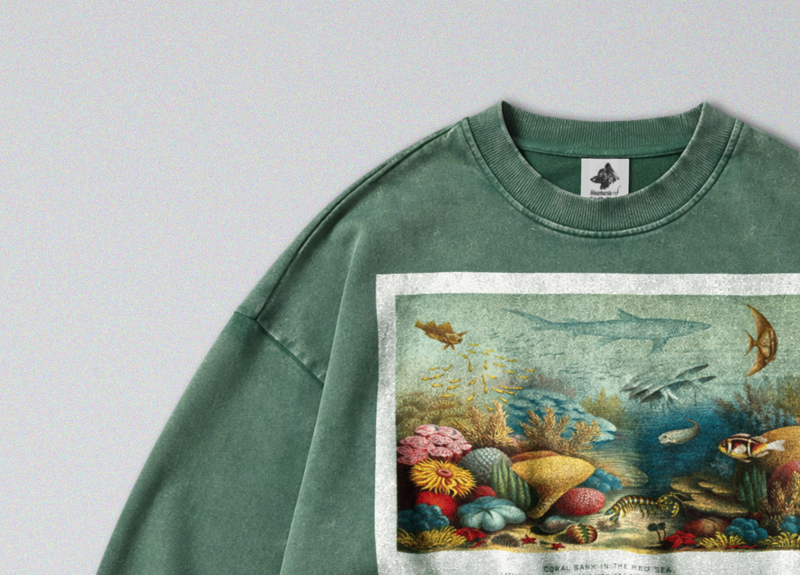 Oversized Snow Washed Cotton Sweatshirt - Colorful Coral Reef Print