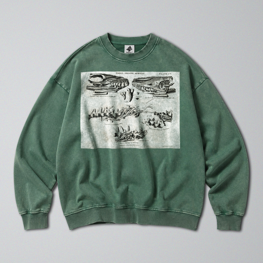 Oversized Snow Washed Cotton Sweatshirt - Mosasaurus Skull Fossil Print