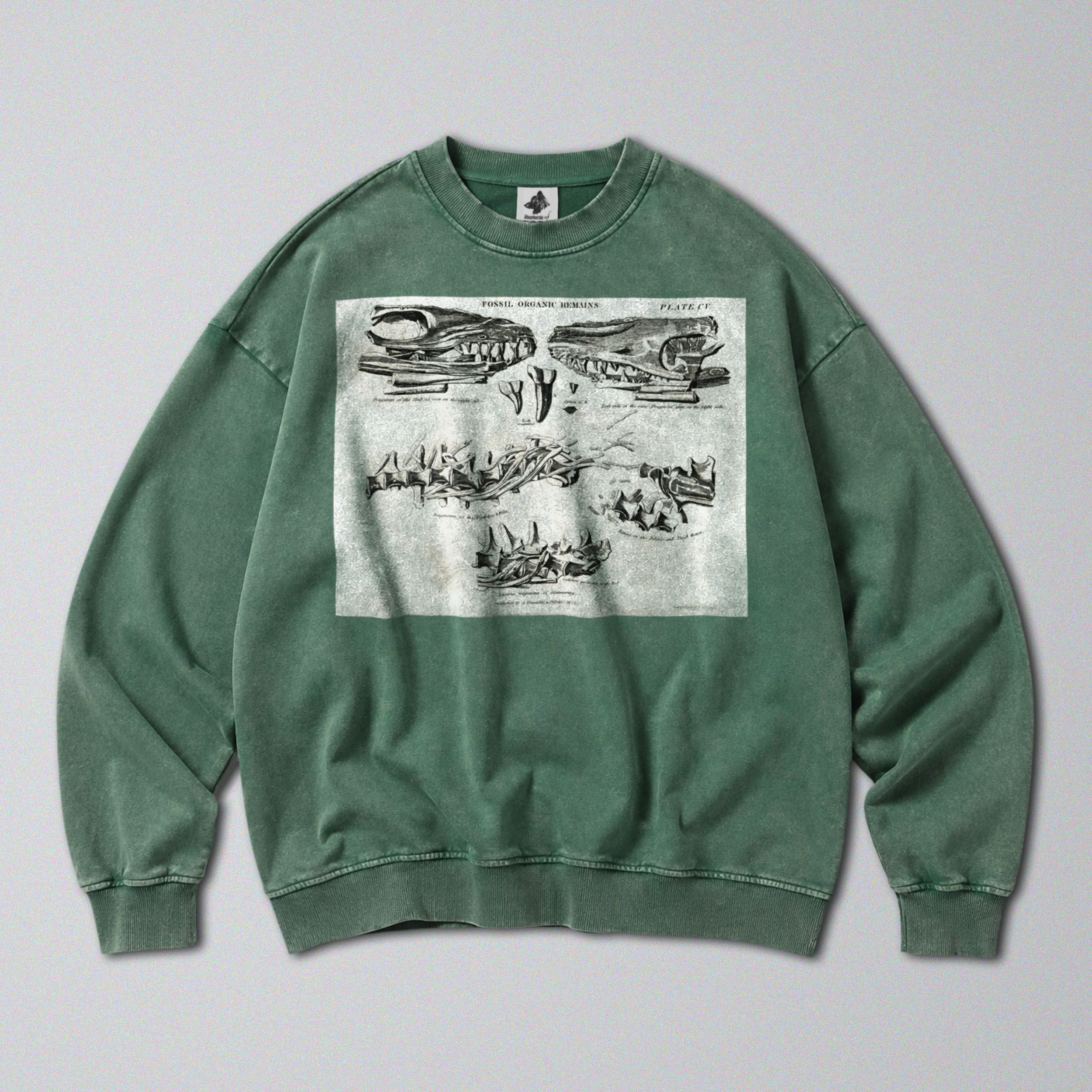 Oversized Snow Washed Cotton Sweatshirt - Mosasaurus Skull Fossil Print