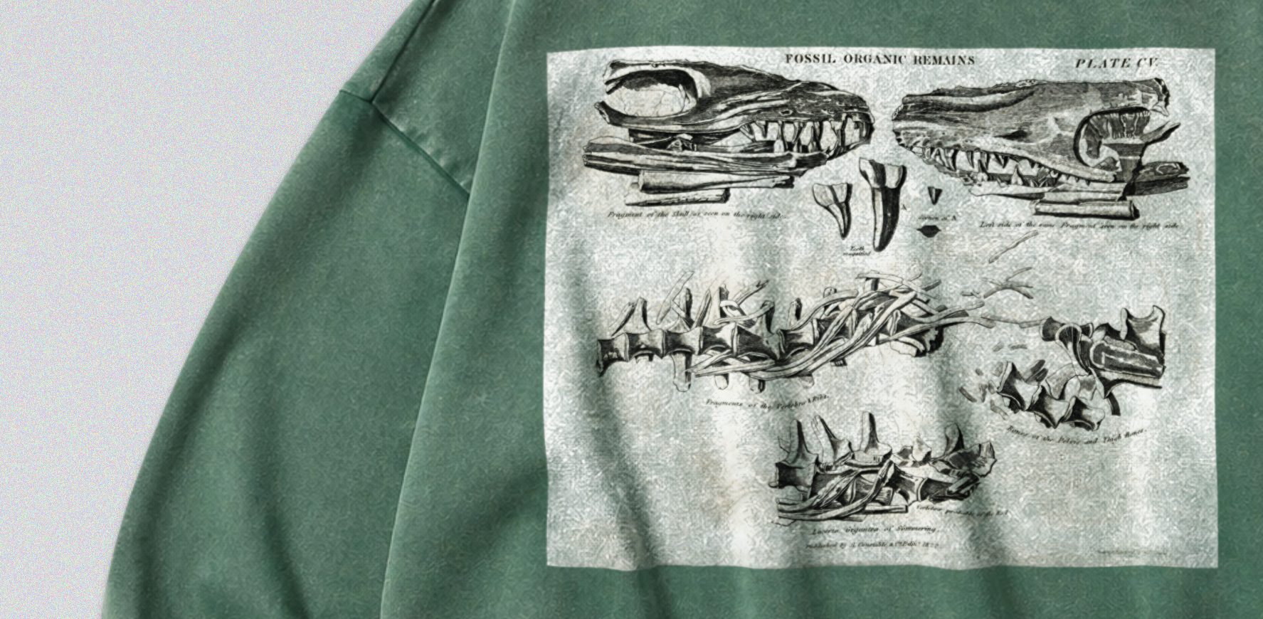 Oversized Snow Washed Cotton Sweatshirt - Mosasaurus Skull Fossil Print