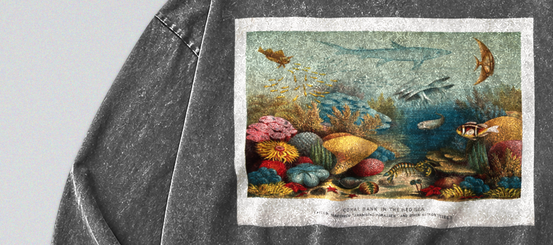 Oversized Snow Washed Long Sleeve Cotton Tee - Nautical Coral Reef Print