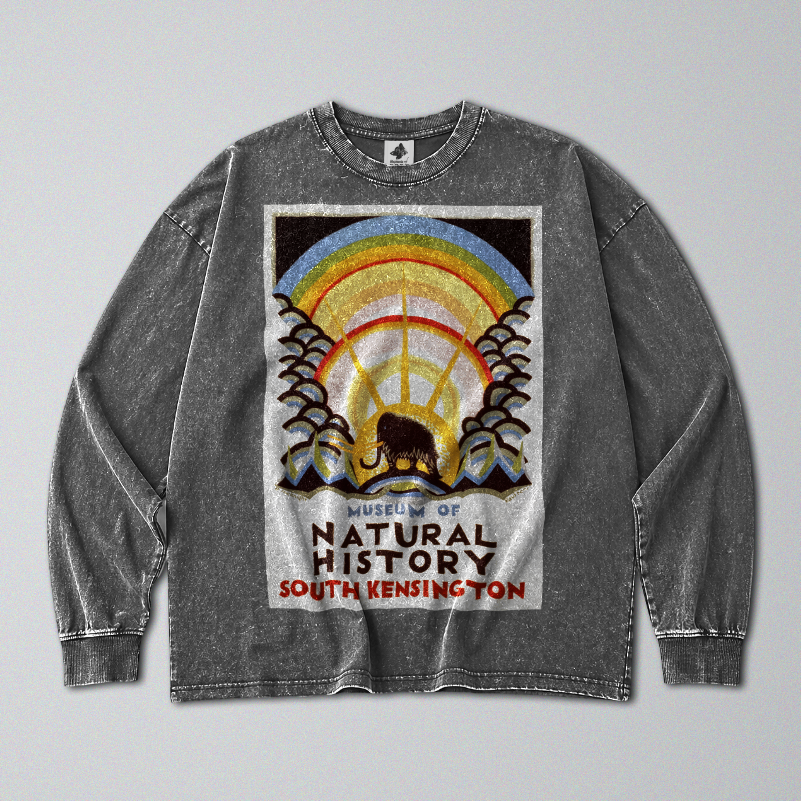 Oversized Snow Washed Long Sleeve Cotton Tee - Museum of Natural History Print