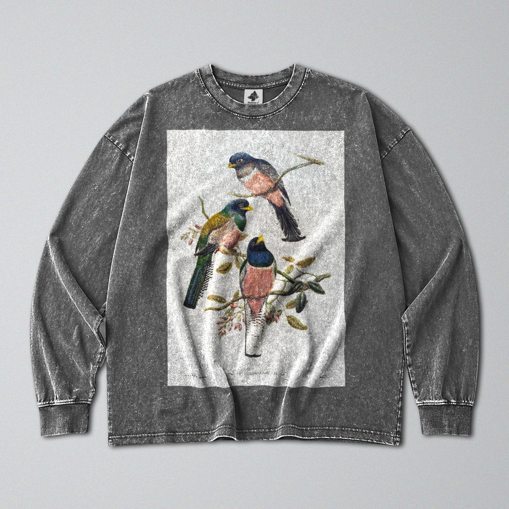 Oversized Snow Washed Long Sleeve Cotton Tee - Vibrant Perching Birds Print