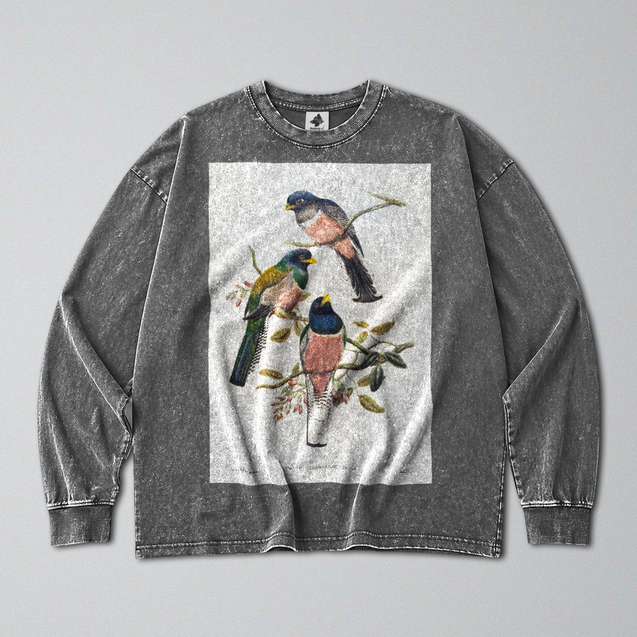 Oversized Snow Washed Long Sleeve Cotton Tee - Vibrant Perching Birds Print