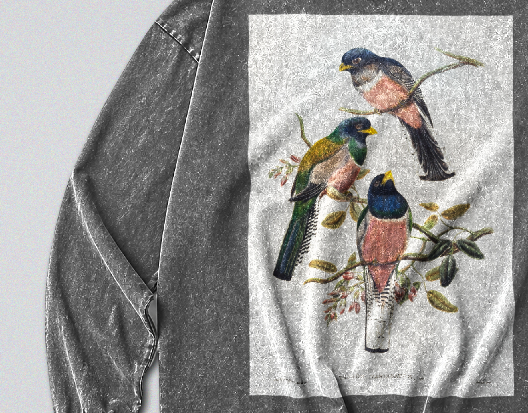 Oversized Snow Washed Long Sleeve Cotton Tee - Vibrant Perching Birds Print