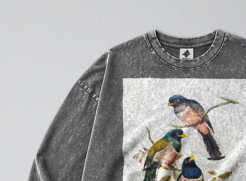 Oversized Snow Washed Long Sleeve Cotton Tee - Vibrant Perching Birds Print