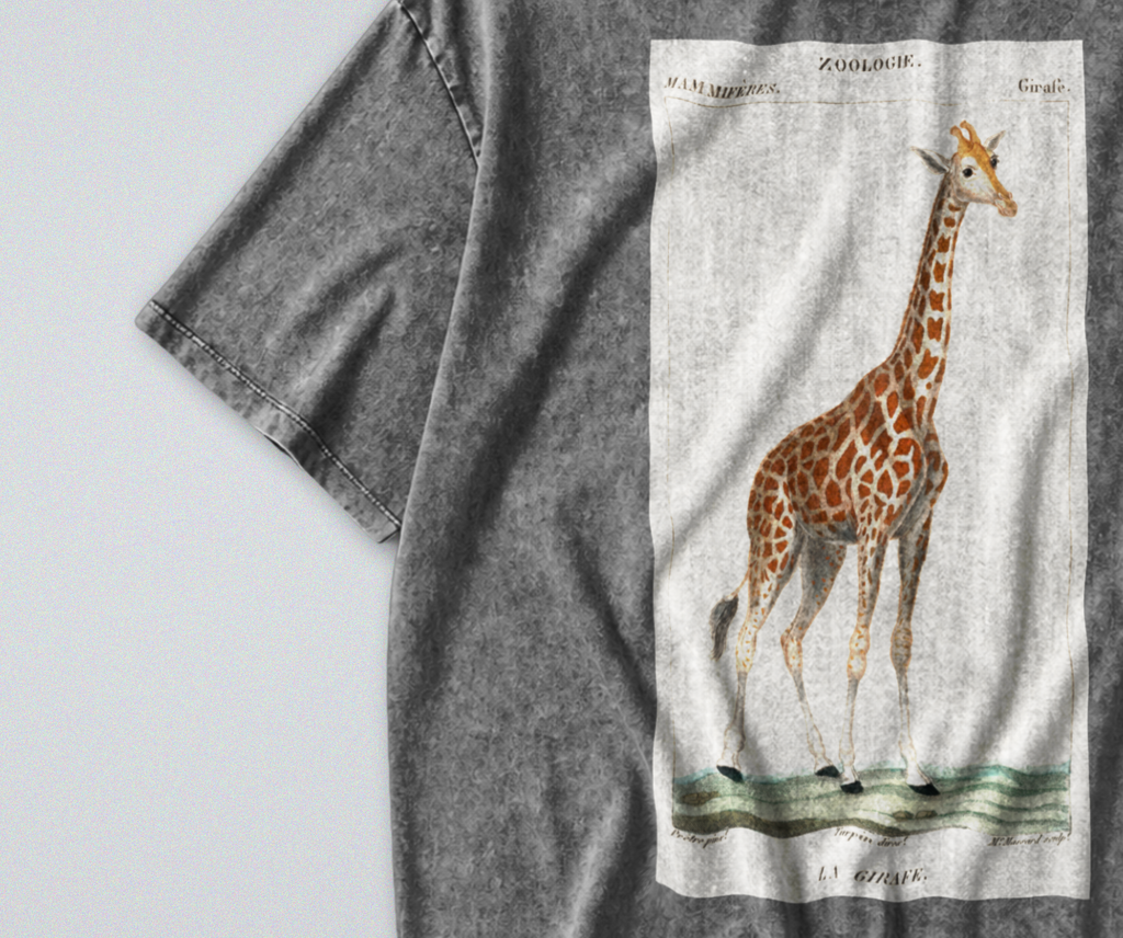 Nubian Giraffe - Short Sleeve Tee