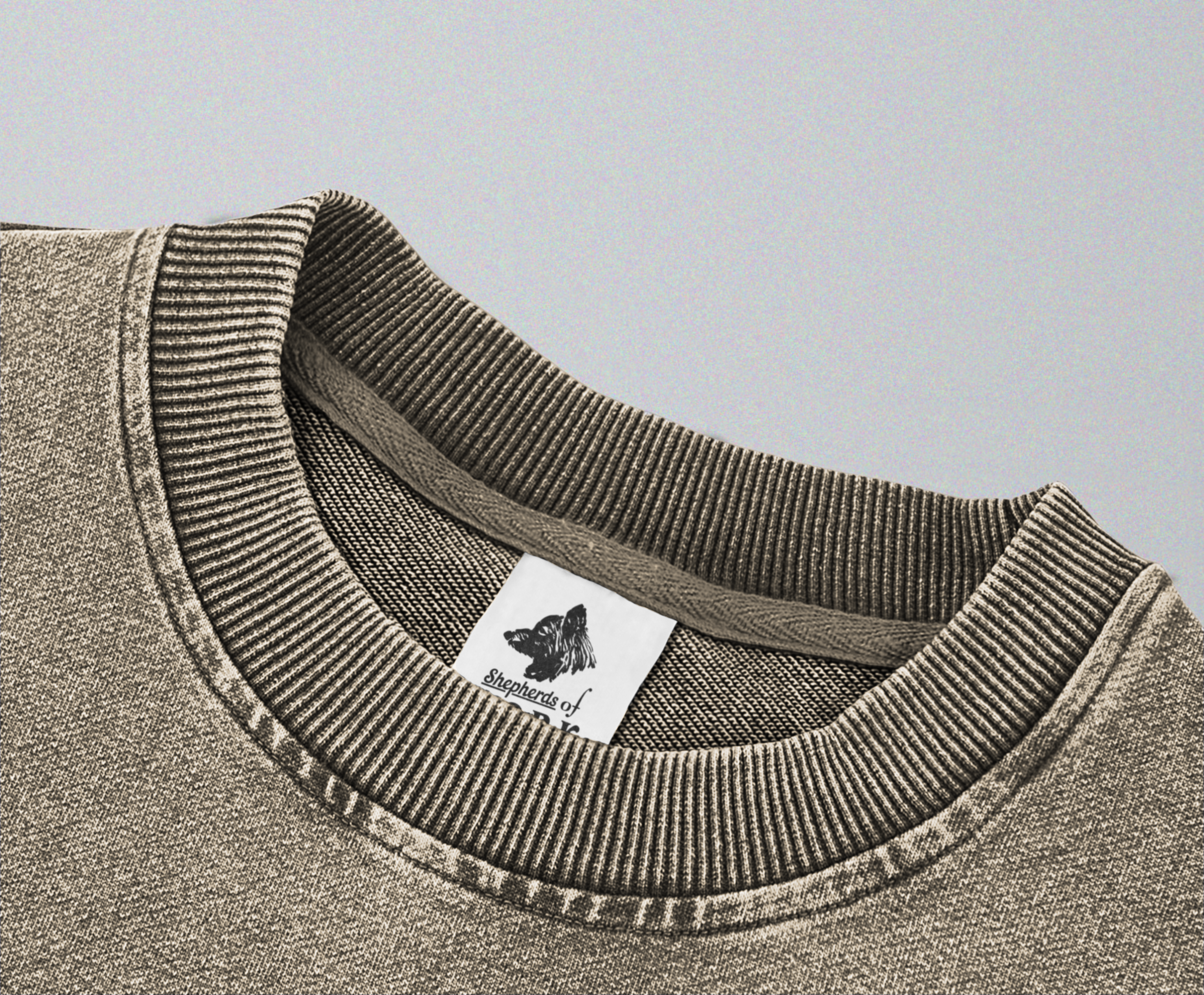 Oversized Snow Washed Cotton Sweatshirt - Skeleton in Tomb Print