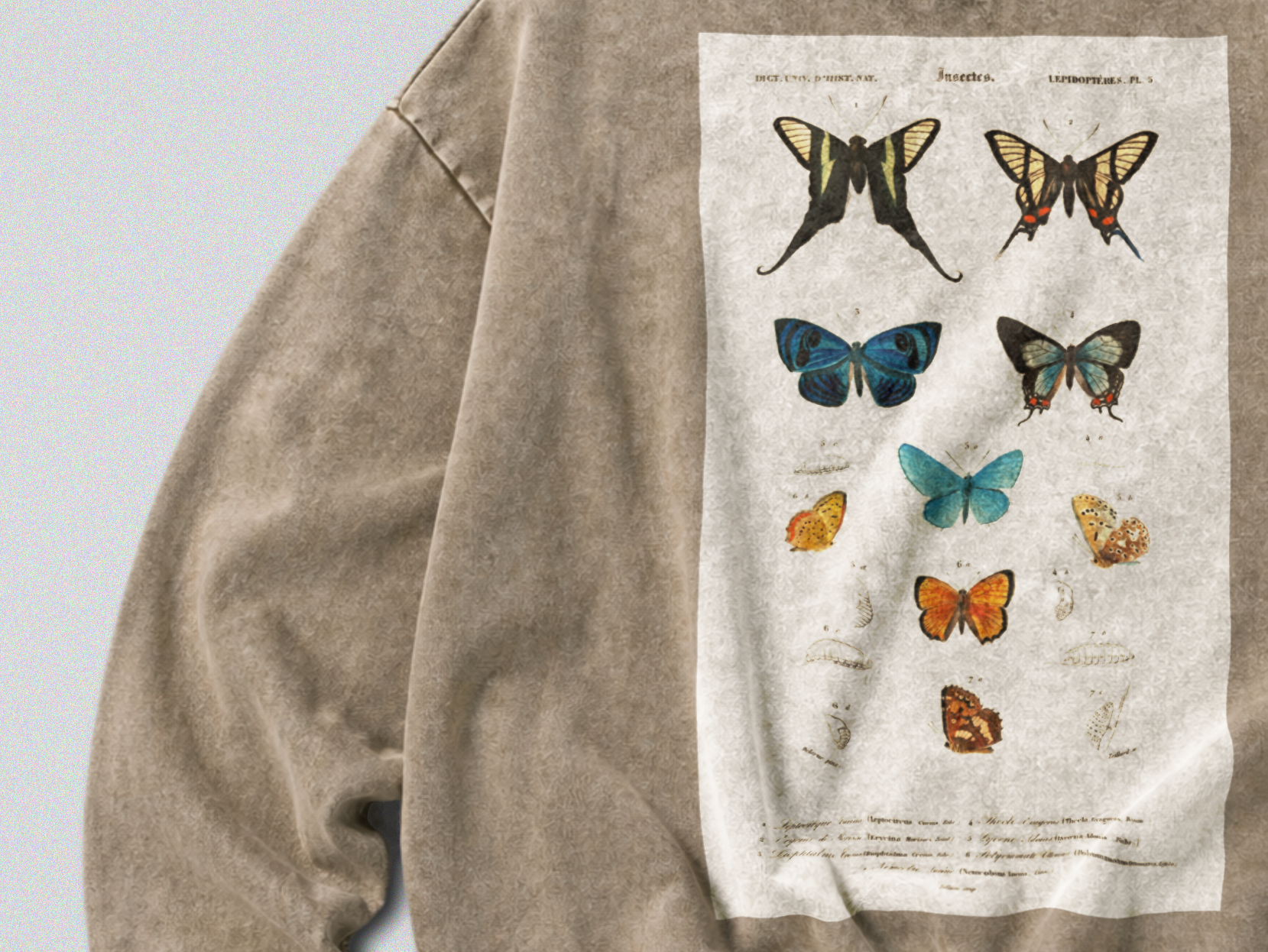 Oversized Snow Washed Cotton Sweatshirt - Vibrant Butterflies Print