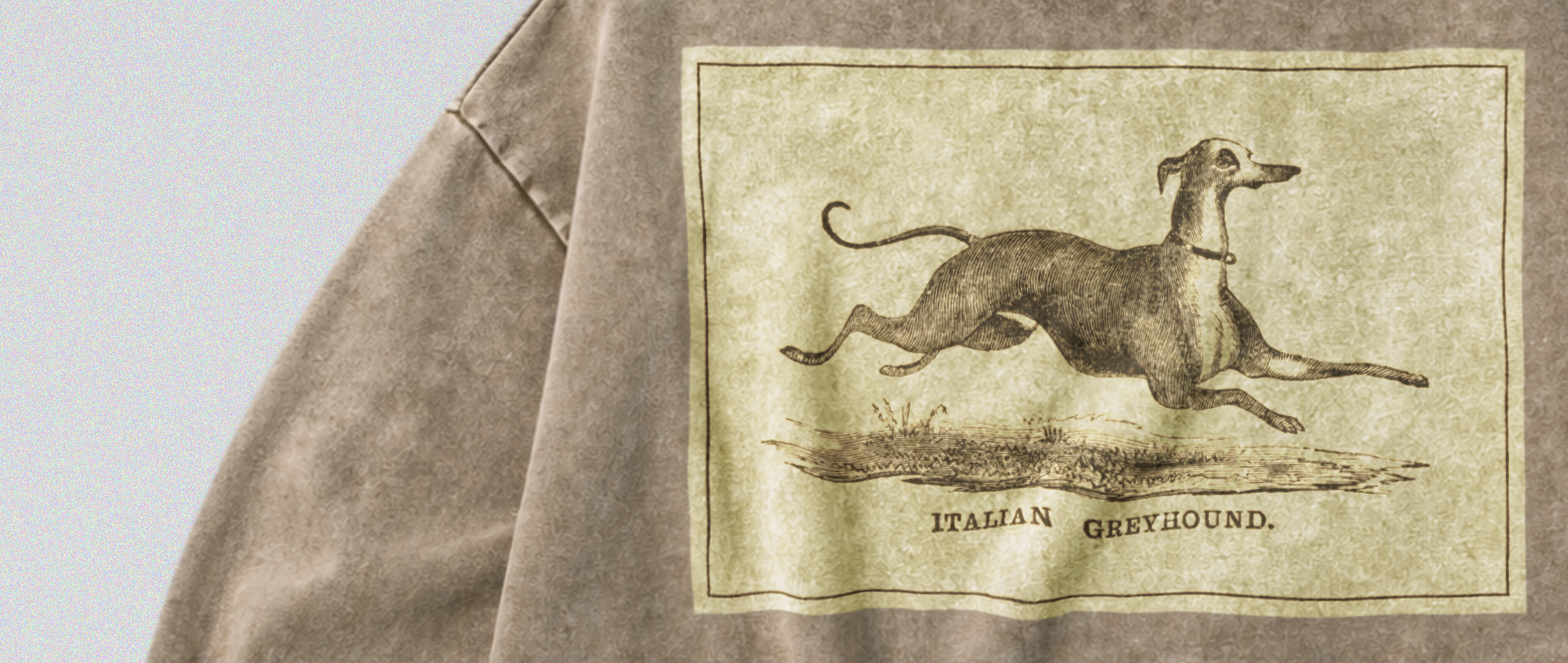 Oversized Snow Washed Cotton Sweatshirt - Italian Greyhound Print