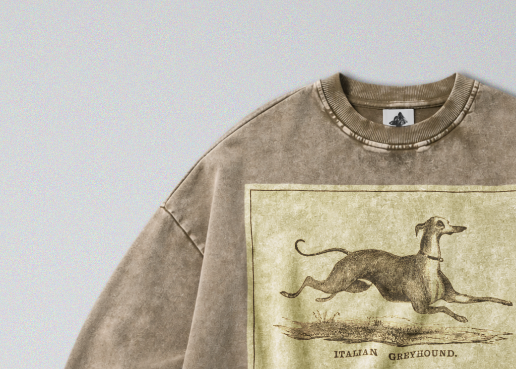 Oversized Snow Washed Cotton Sweatshirt - Italian Greyhound Print
