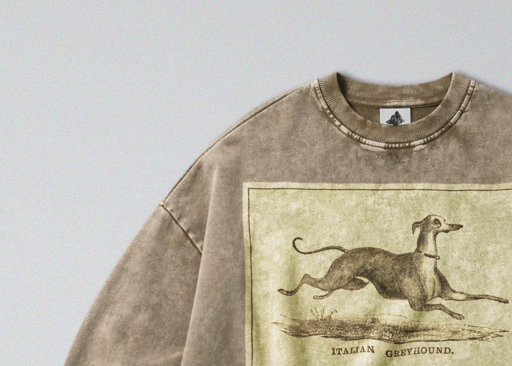 Oversized Snow Washed Cotton Sweatshirt - Italian Greyhound Print