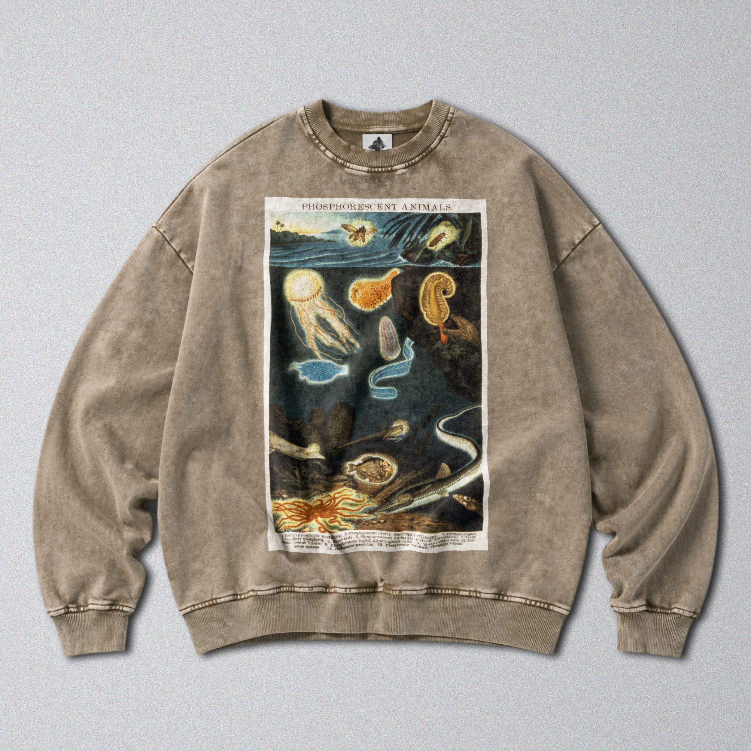 Oversized Snow Washed Cotton Sweatshirt - Bioluminescent Sea Animals Print