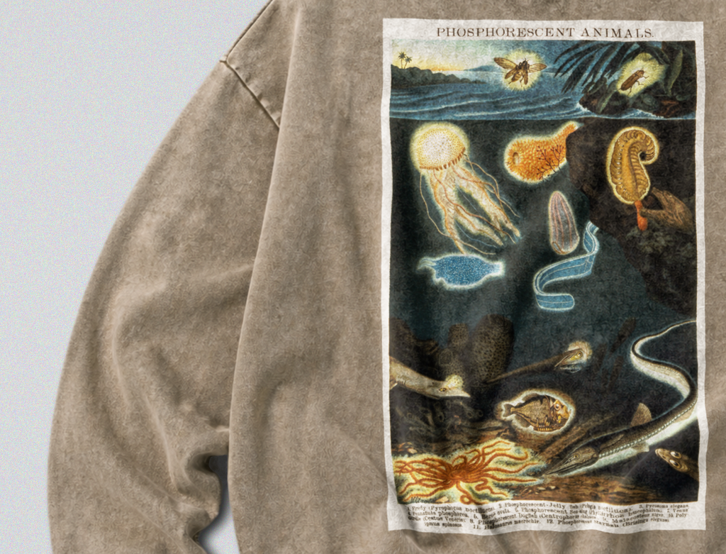 Oversized Snow Washed Cotton Sweatshirt - Bioluminescent Sea Animals Print