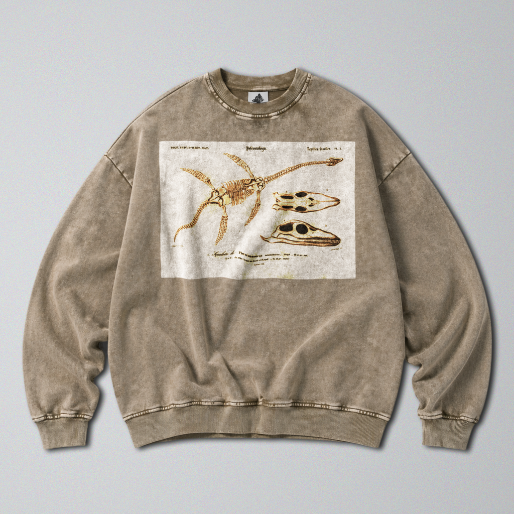 Oversized Snow Washed Cotton Sweatshirt - Plesiosaur Skeleton Fossil Print
