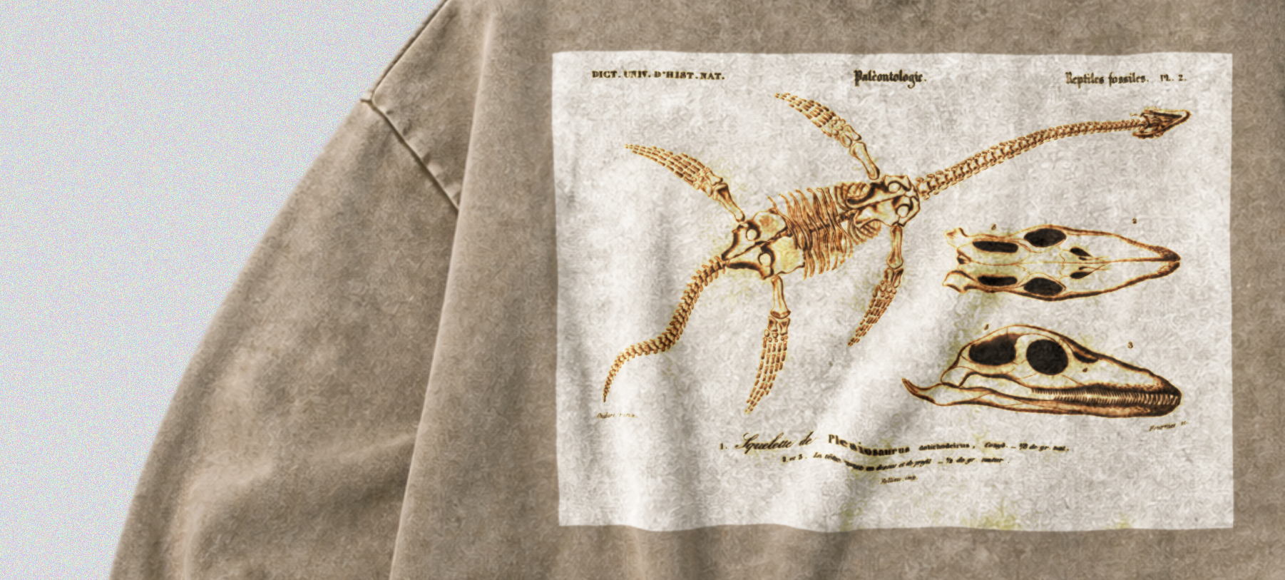 Oversized Snow Washed Cotton Sweatshirt - Plesiosaur Skeleton Fossil Print