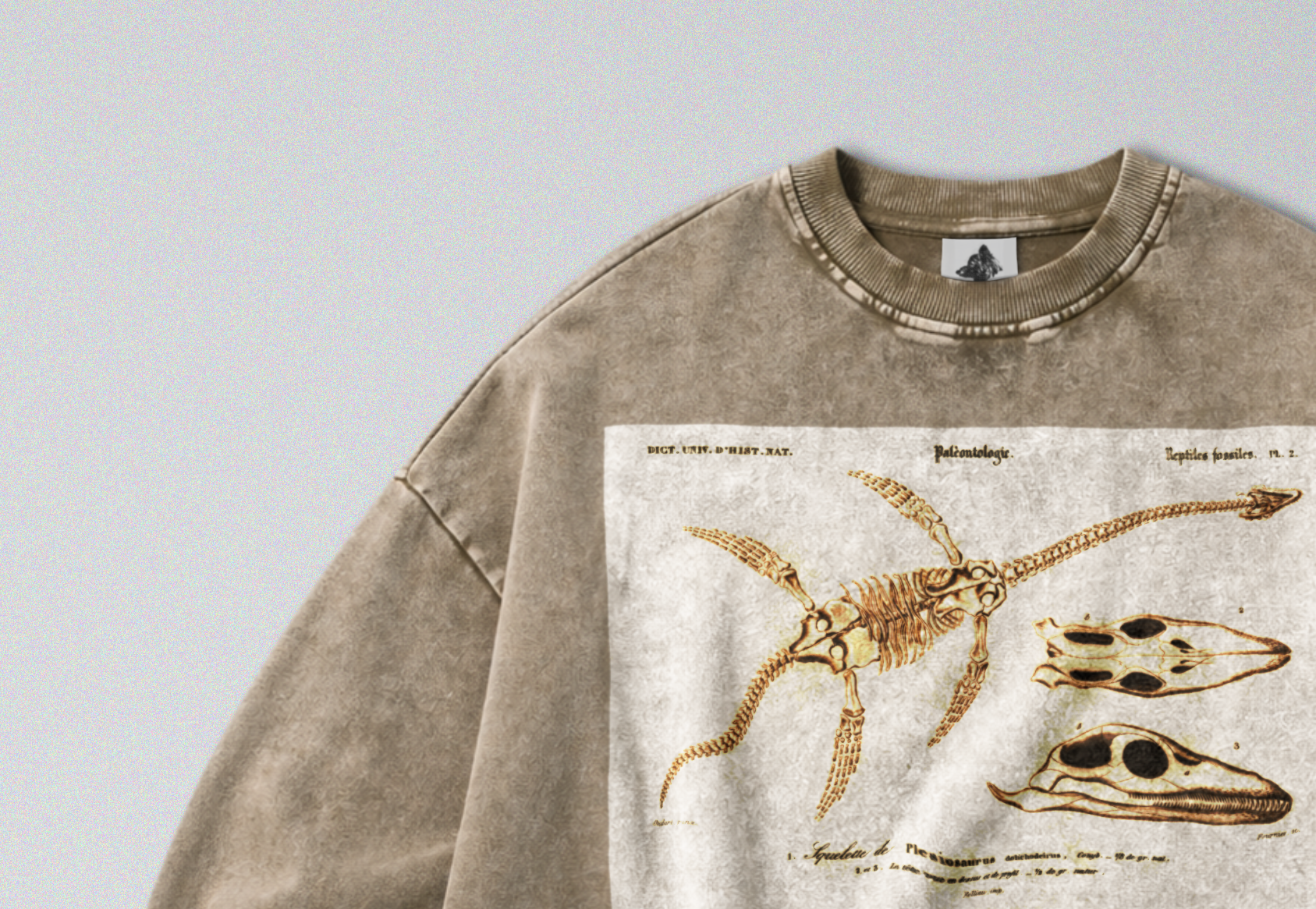 Oversized Snow Washed Cotton Sweatshirt - Plesiosaur Skeleton Fossil Print
